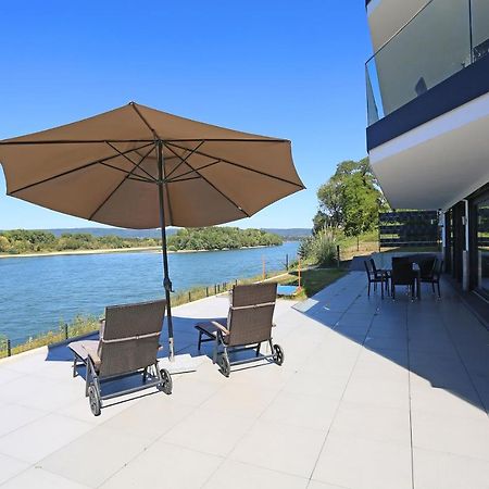 Rhein Lounge Apartment Urmitz ภายนอก รูปภาพ